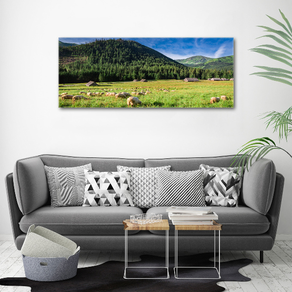 Wall art acrylic Sheep in the Tatra Mountains