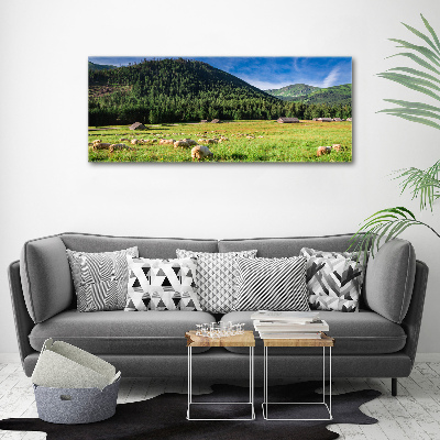 Wall art acrylic Sheep in the Tatra Mountains