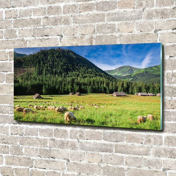 Wall art acrylic Sheep in the Tatra Mountains