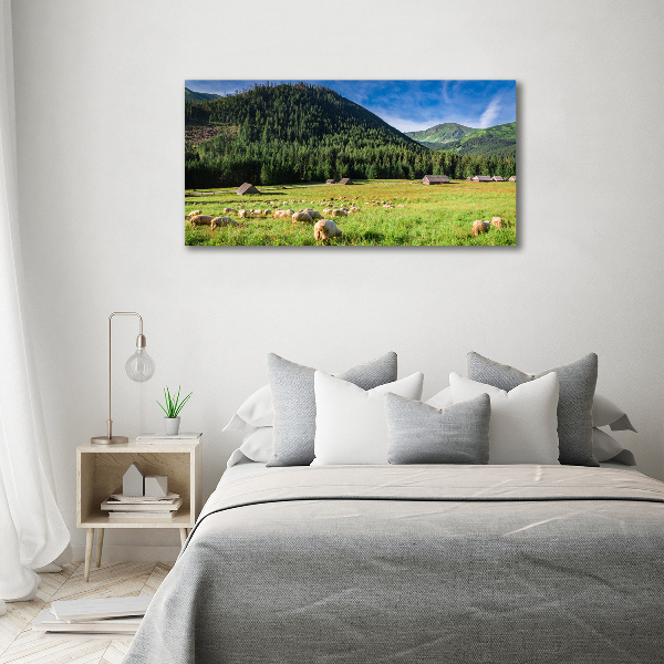 Wall art acrylic Sheep in the Tatra Mountains