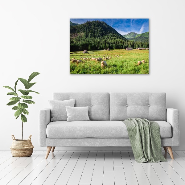 Wall art acrylic Sheep in the Tatra Mountains