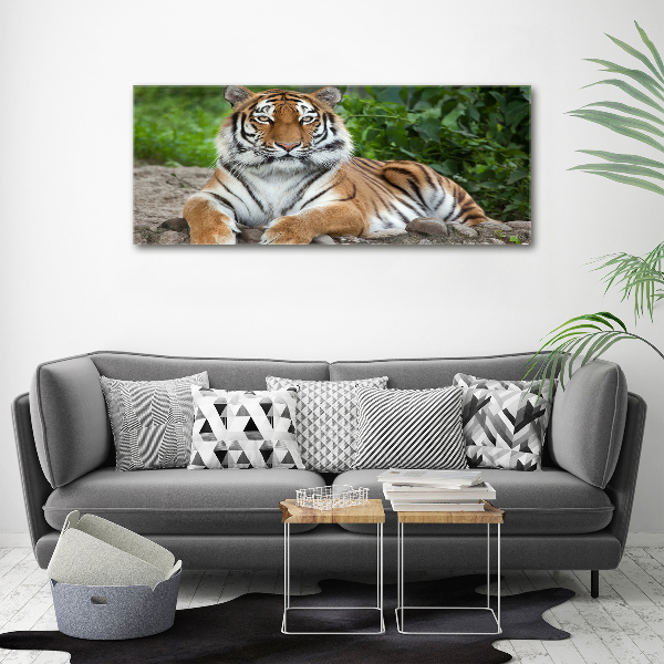 Print on acrylic Siberian tiger