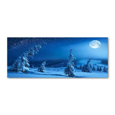 Acrylic wall art Moonlight