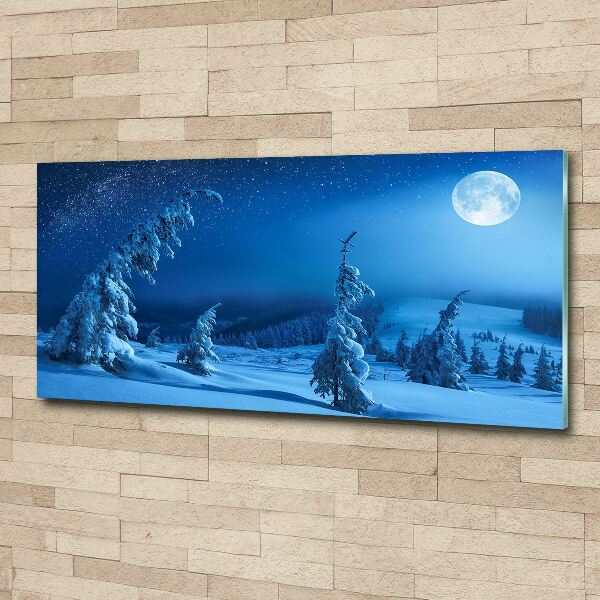 Acrylic wall art Moonlight