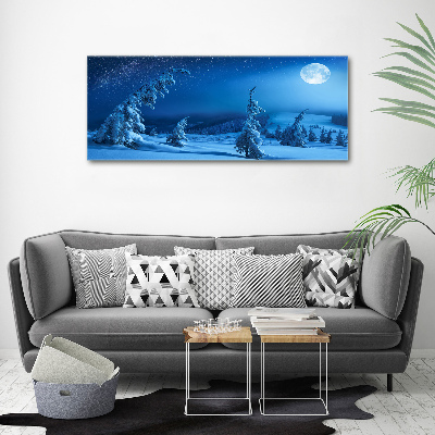 Acrylic wall art Moonlight