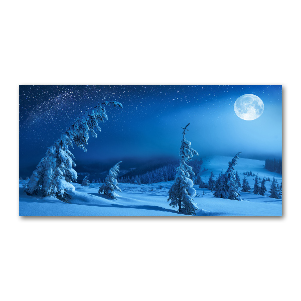 Acrylic wall art Moonlight