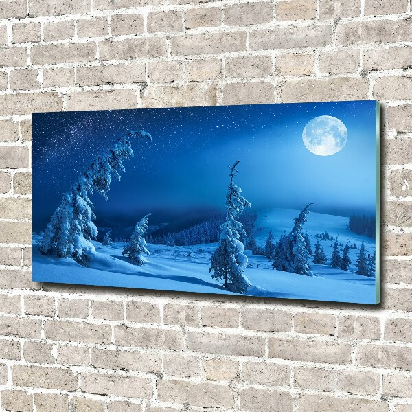 Acrylic wall art Moonlight