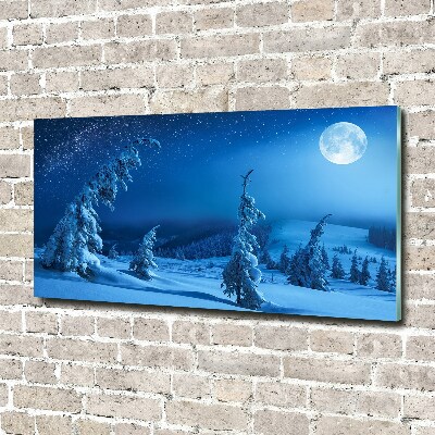 Acrylic wall art Moonlight