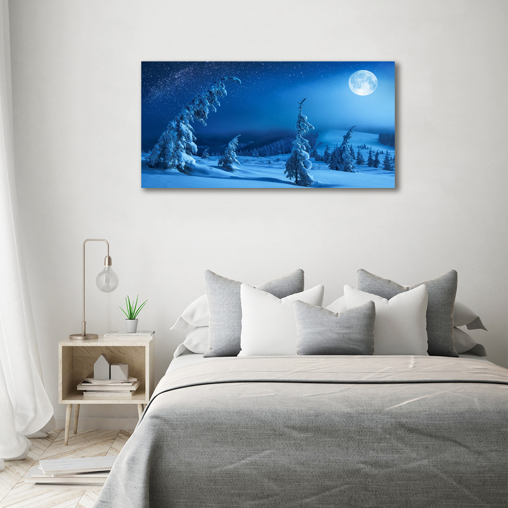 Acrylic wall art Moonlight