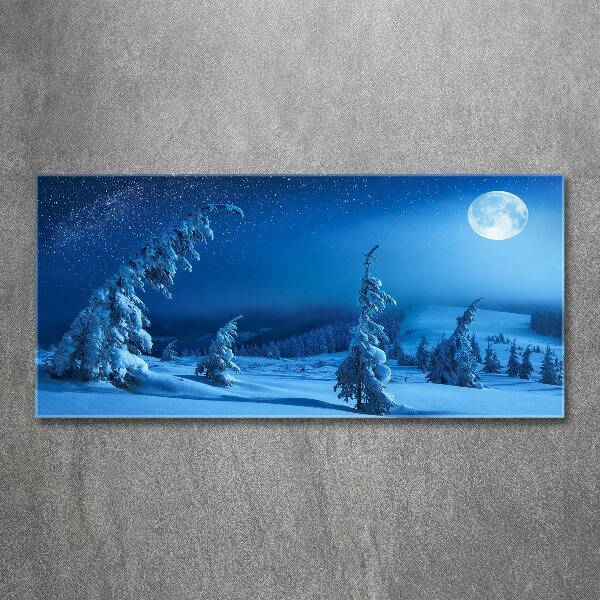 Acrylic wall art Moonlight