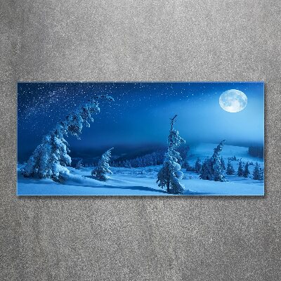 Acrylic wall art Moonlight