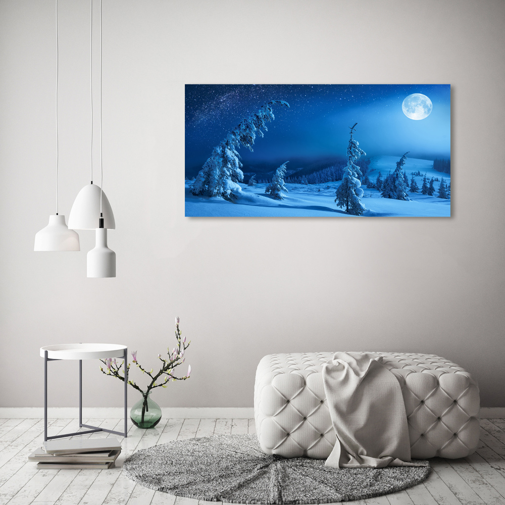 Acrylic wall art Moonlight