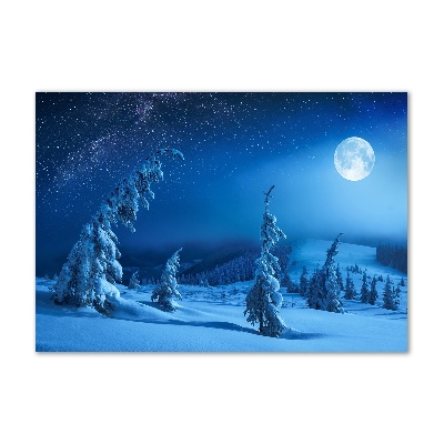 Acrylic wall art Moonlight