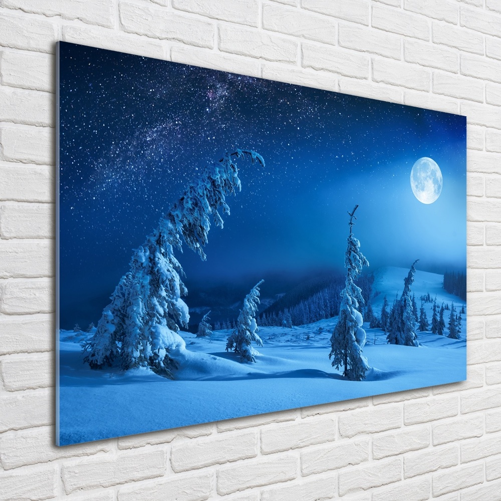 Acrylic wall art Moonlight