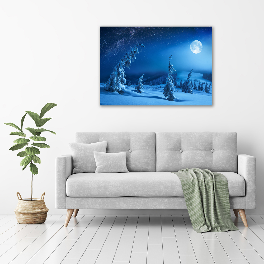 Acrylic wall art Moonlight