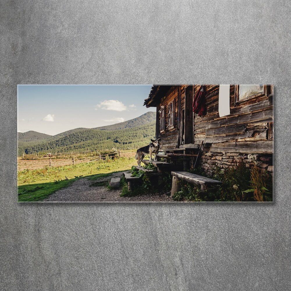 Acrylic wall art Wooden mountain house