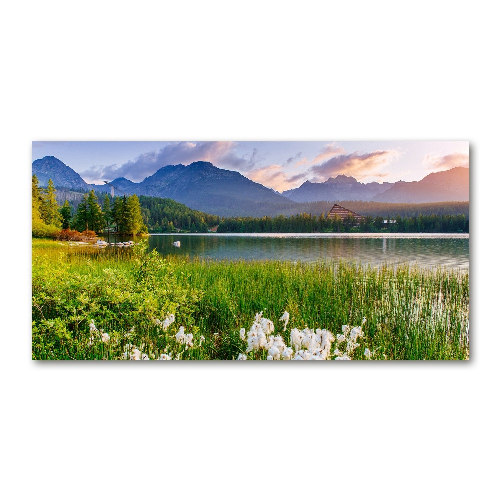 Acrylic wall art Lake in the mountains