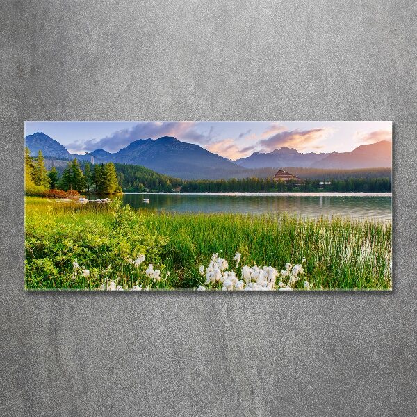 Acrylic wall art Lake in the mountains