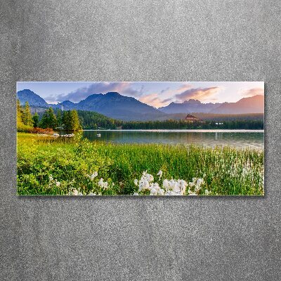 Acrylic wall art Lake in the mountains