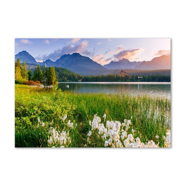 Acrylic wall art Lake in the mountains