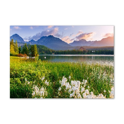 Acrylic wall art Lake in the mountains