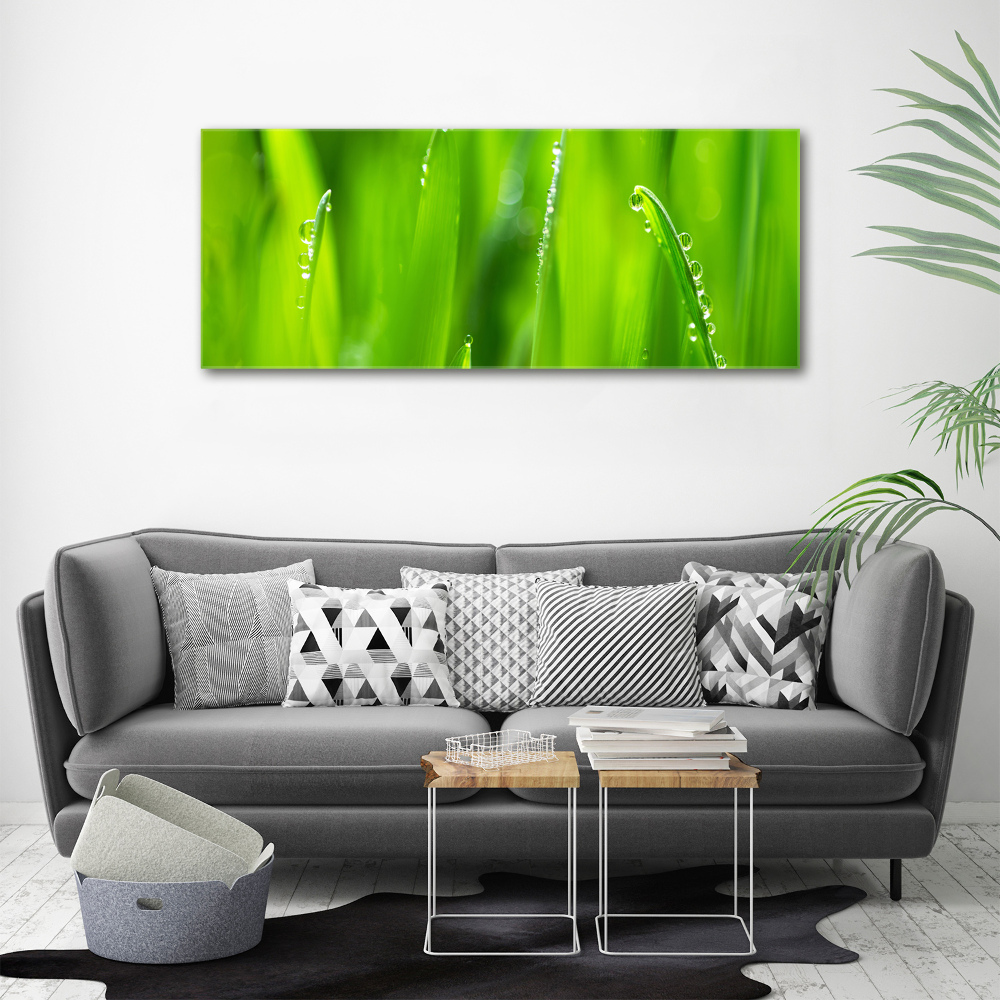 Glass acrylic wall art Young oats