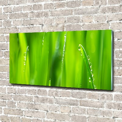 Glass acrylic wall art Young oats