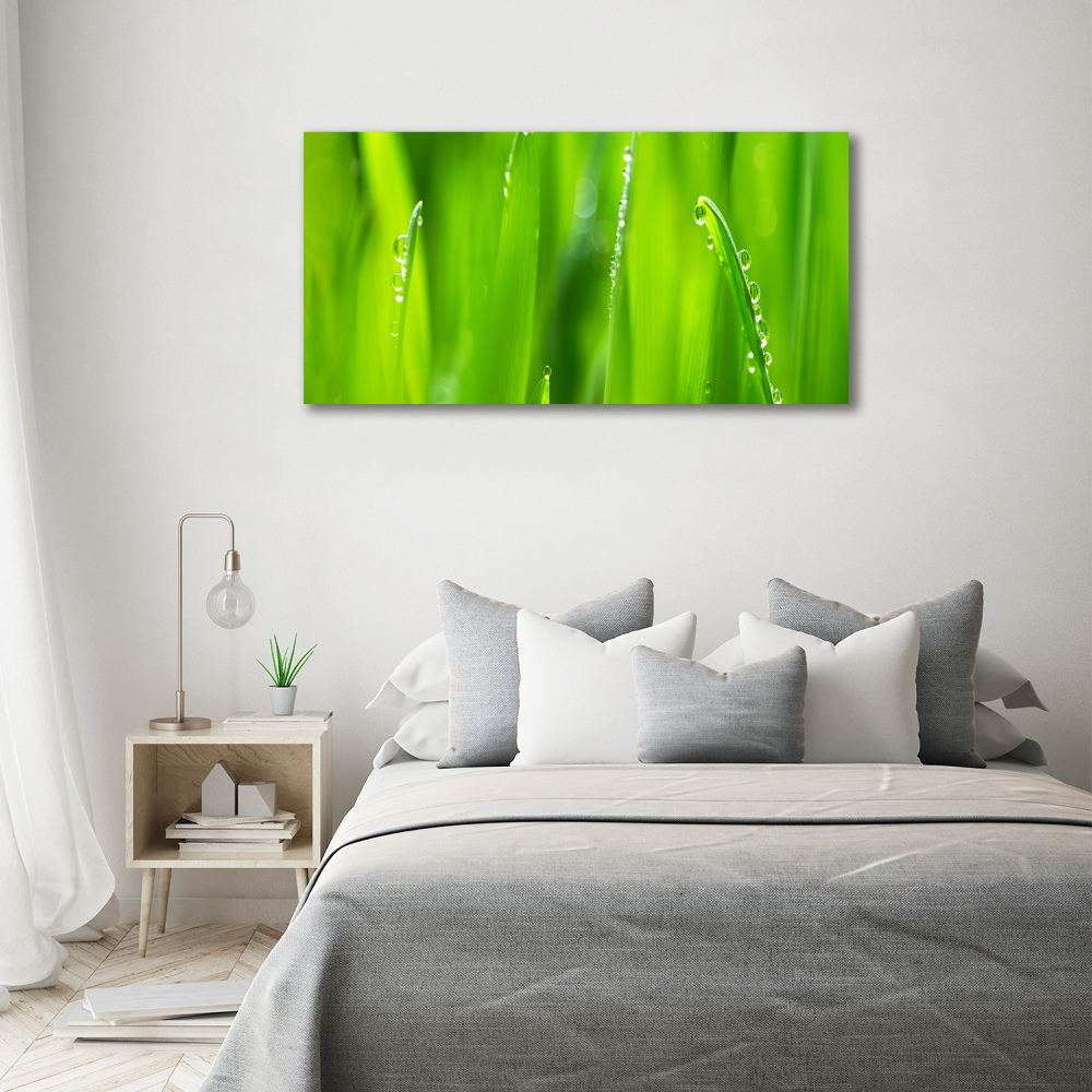 Glass acrylic wall art Young oats