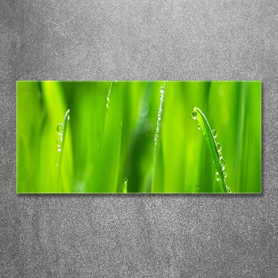 Glass acrylic wall art Young oats