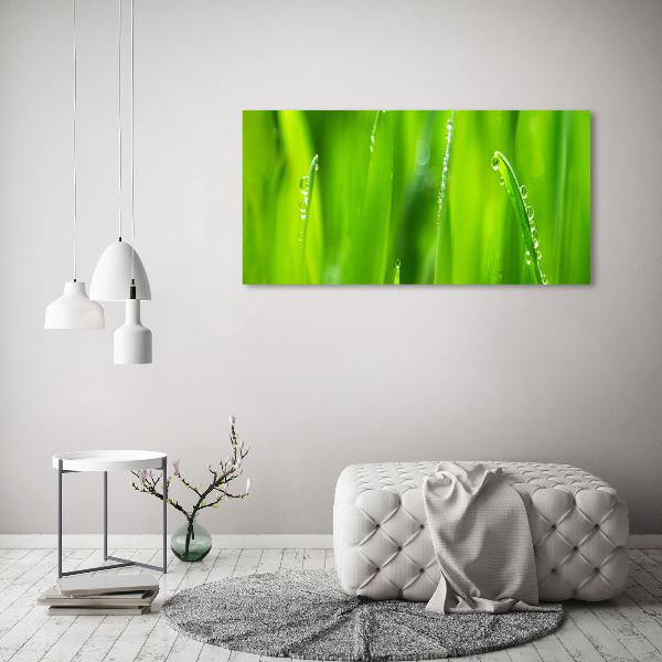 Glass acrylic wall art Young oats