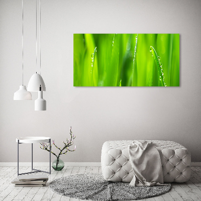 Glass acrylic wall art Young oats