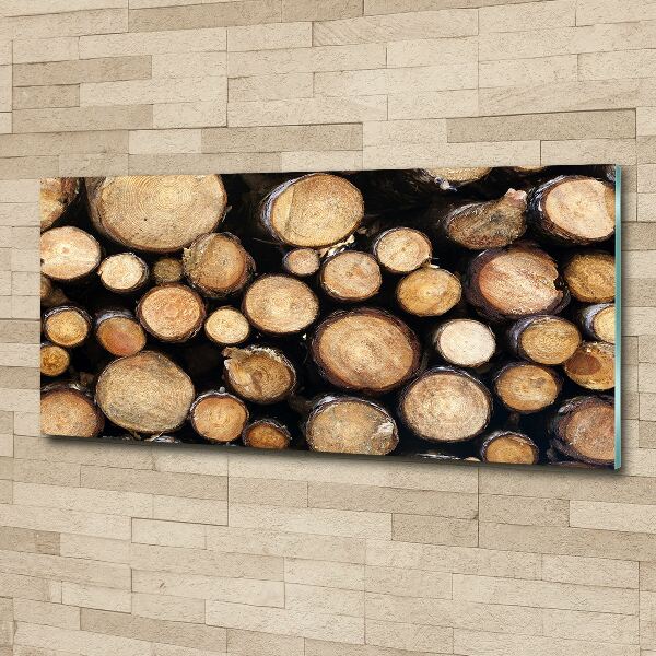 Glass acrylic wall art Logs