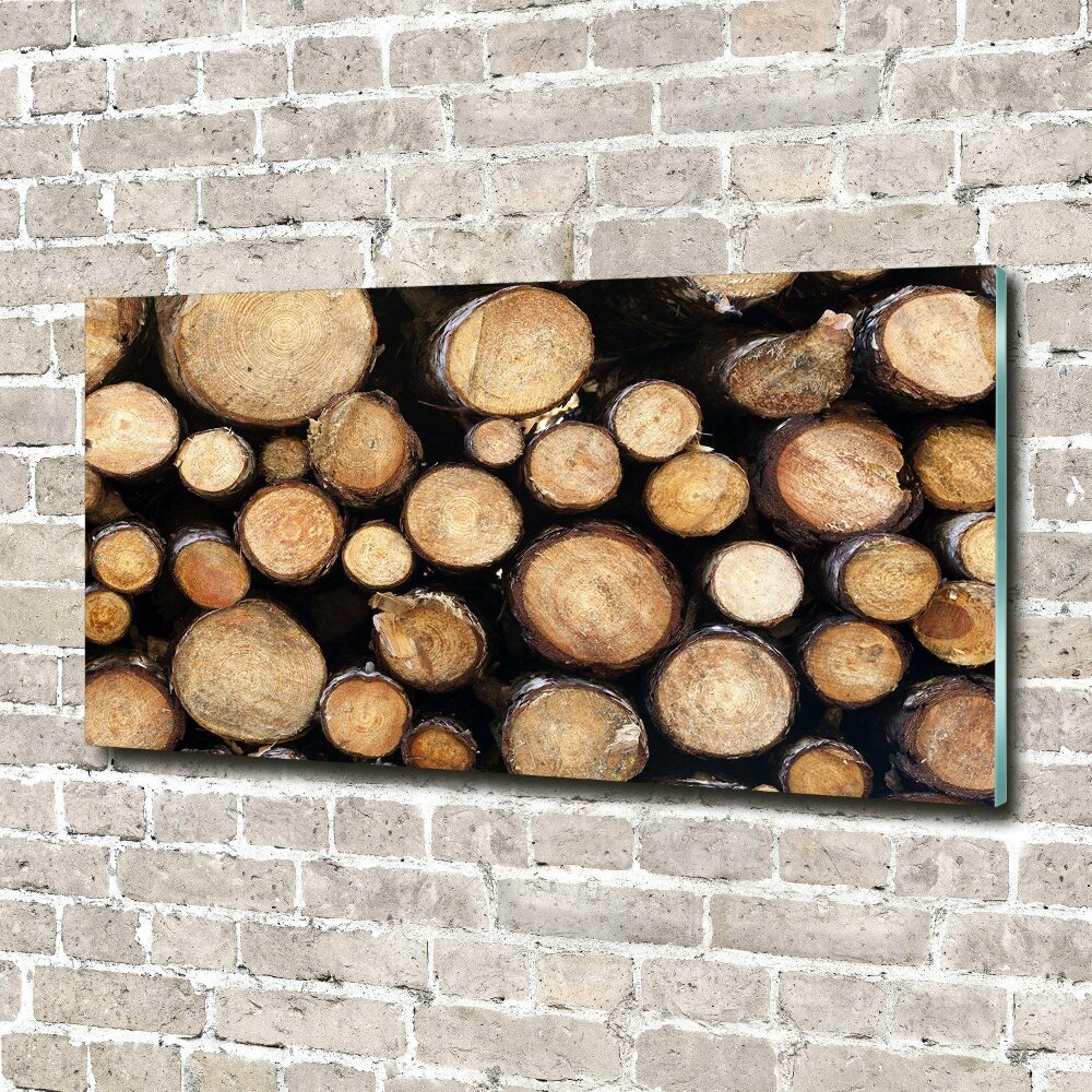 Glass acrylic wall art Logs