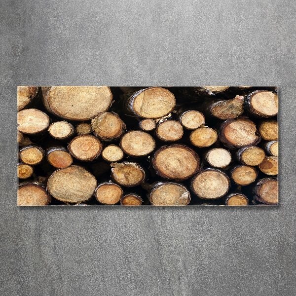 Glass acrylic wall art Logs