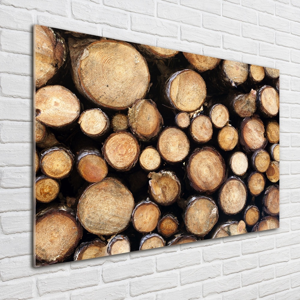 Glass acrylic wall art Logs