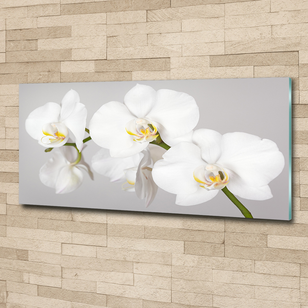 Acrylic print Orchid