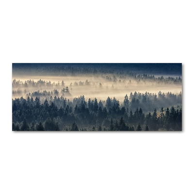 Acrylic wall art Fog over the forest