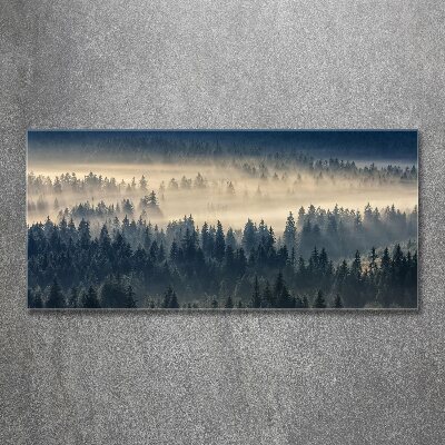 Acrylic wall art Fog over the forest