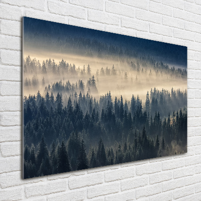 Acrylic wall art Fog over the forest