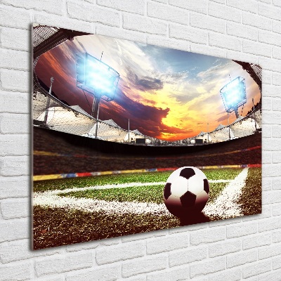 Wall art acrylic Ball at the stadium