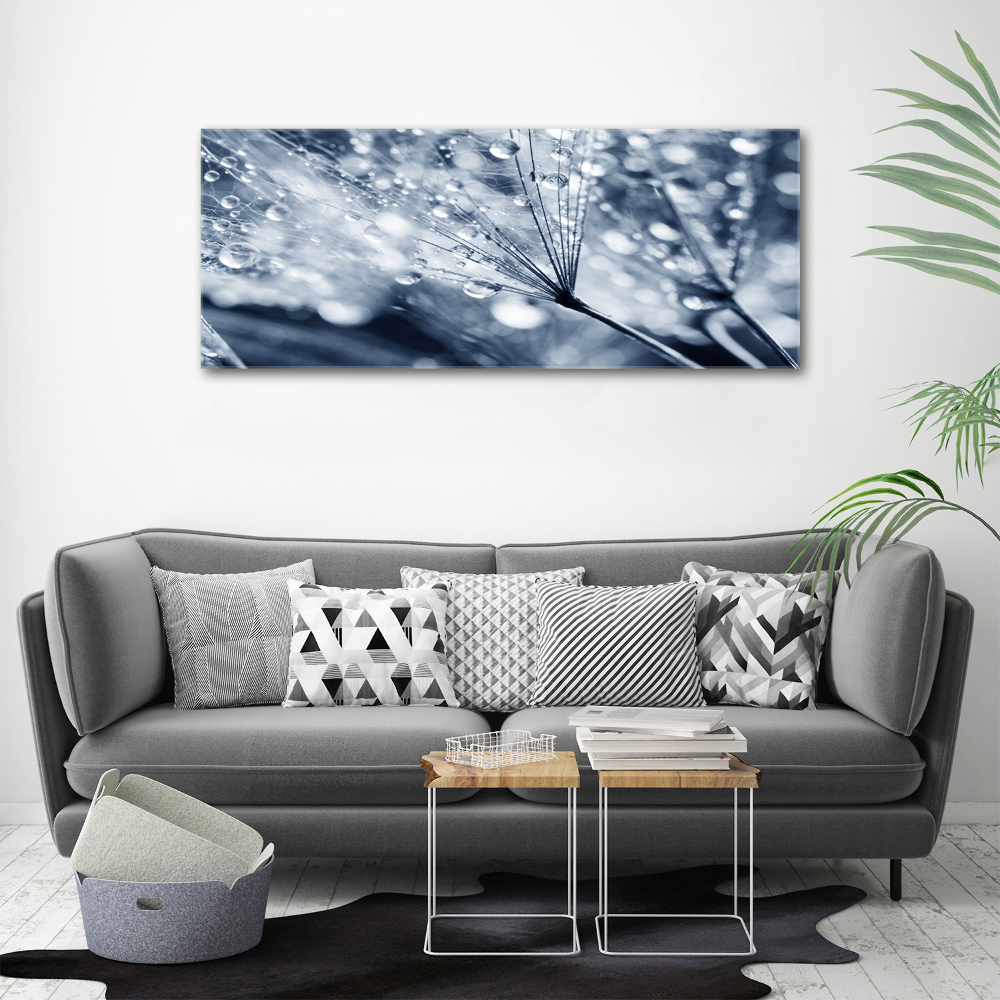 Acrylic print Dandelion seeds