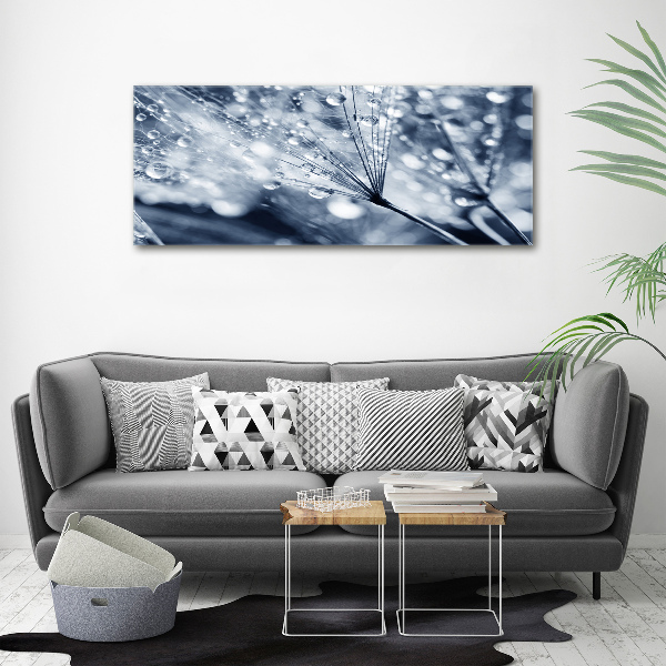 Acrylic print Dandelion seeds