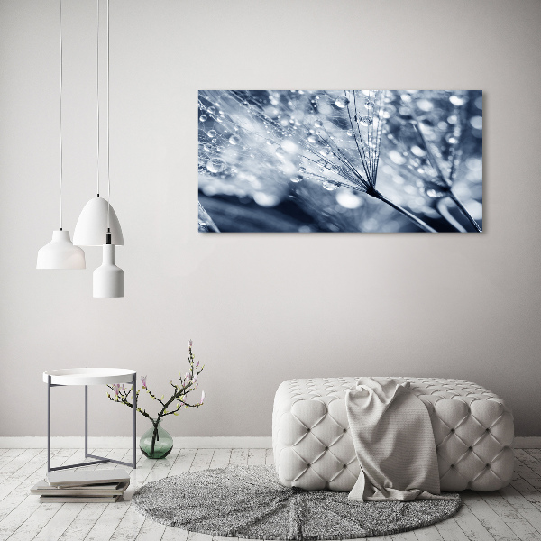 Acrylic print Dandelion seeds