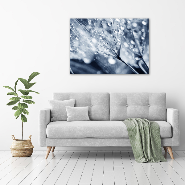 Acrylic print Dandelion seeds