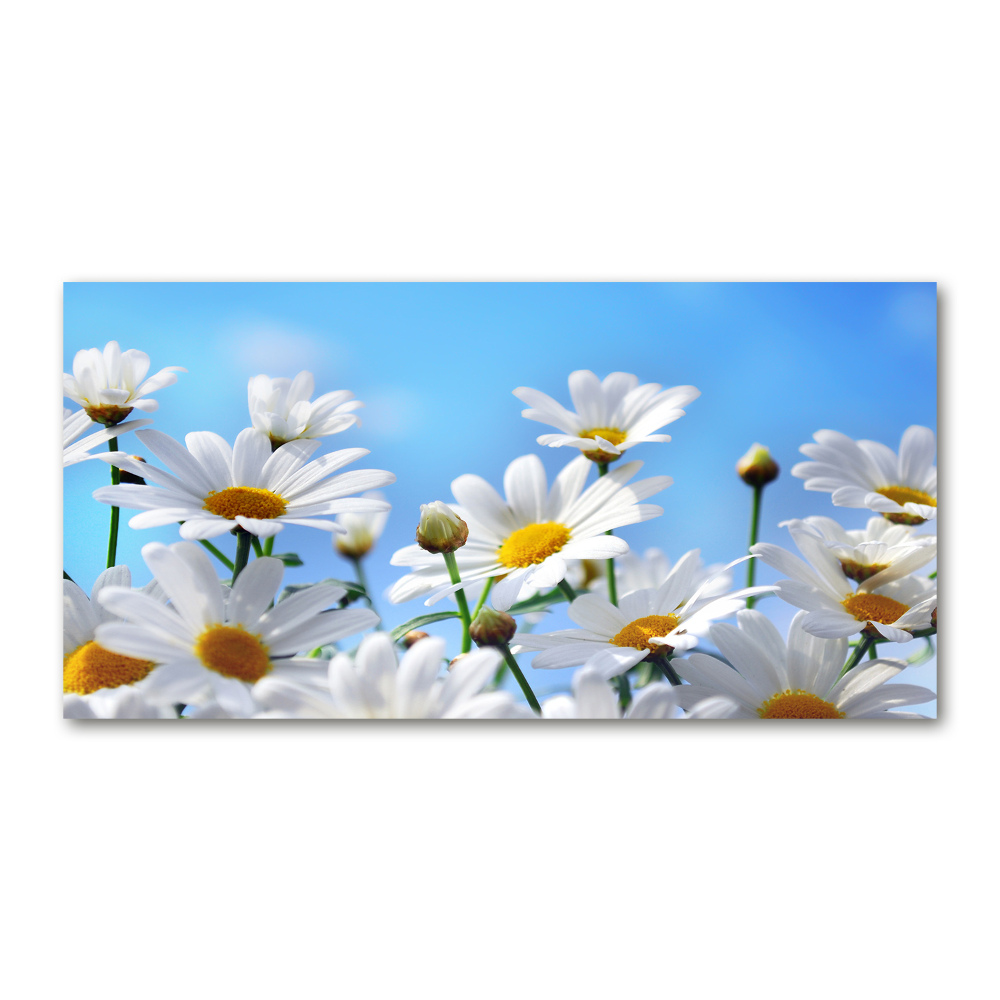 Glass acrylic wall art Daisy