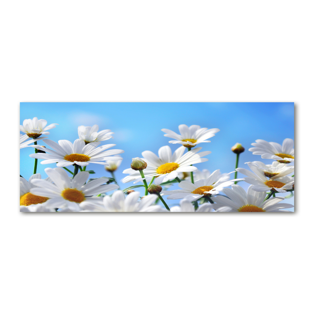 Glass acrylic wall art Daisy