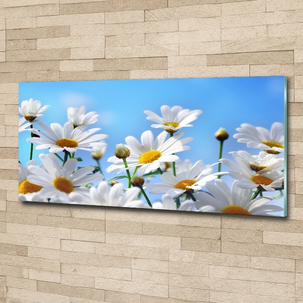 Glass acrylic wall art Daisy