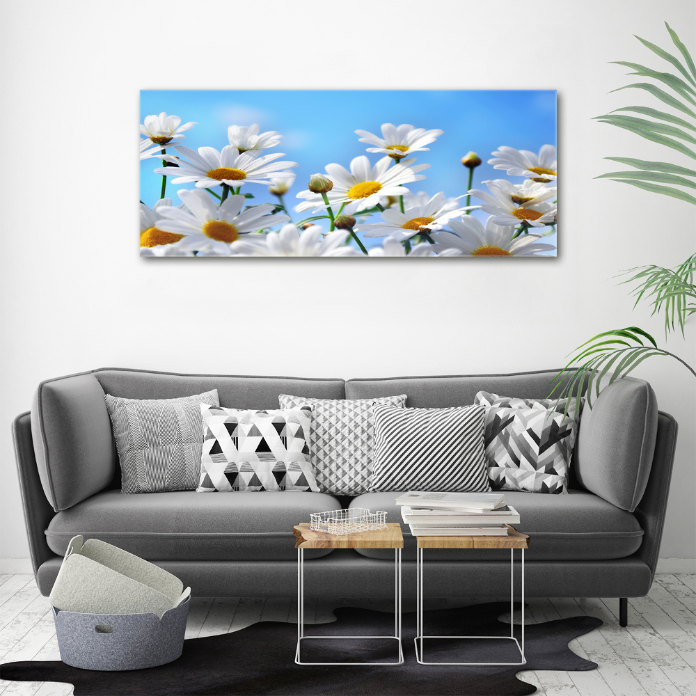 Glass acrylic wall art Daisy