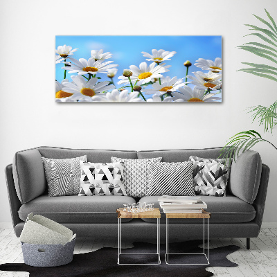 Glass acrylic wall art Daisy