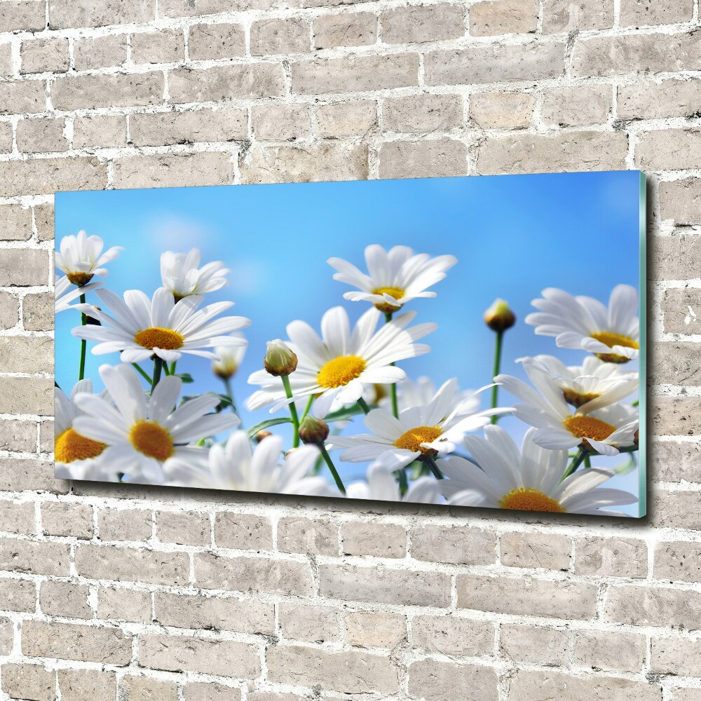 Glass acrylic wall art Daisy